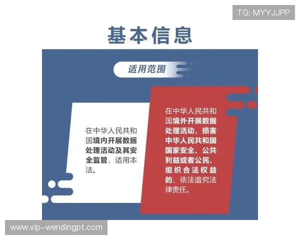 问鼎平台登录入口安全保障措施及使用指南,确保用户数据安全与隐私保护 问鼎平台登录入口安全保障措施及使用指南,确保用户数据安全与隐私保护