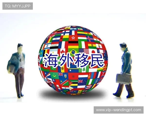 问鼎国际官网入口手机版：便捷访问全球最新资讯的最佳途径