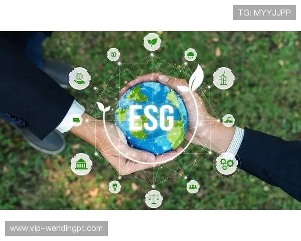 问鼎中国电子行业的绿色环保发展路径与可持续发展策略 问鼎中国电子行业的绿色环保发展路径与可持续发展策略