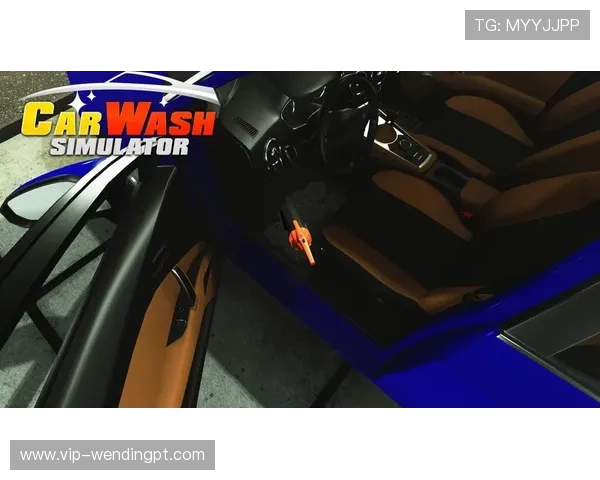 问鼎官网入口：官方入口的未来发展方向与用户体验提升计划